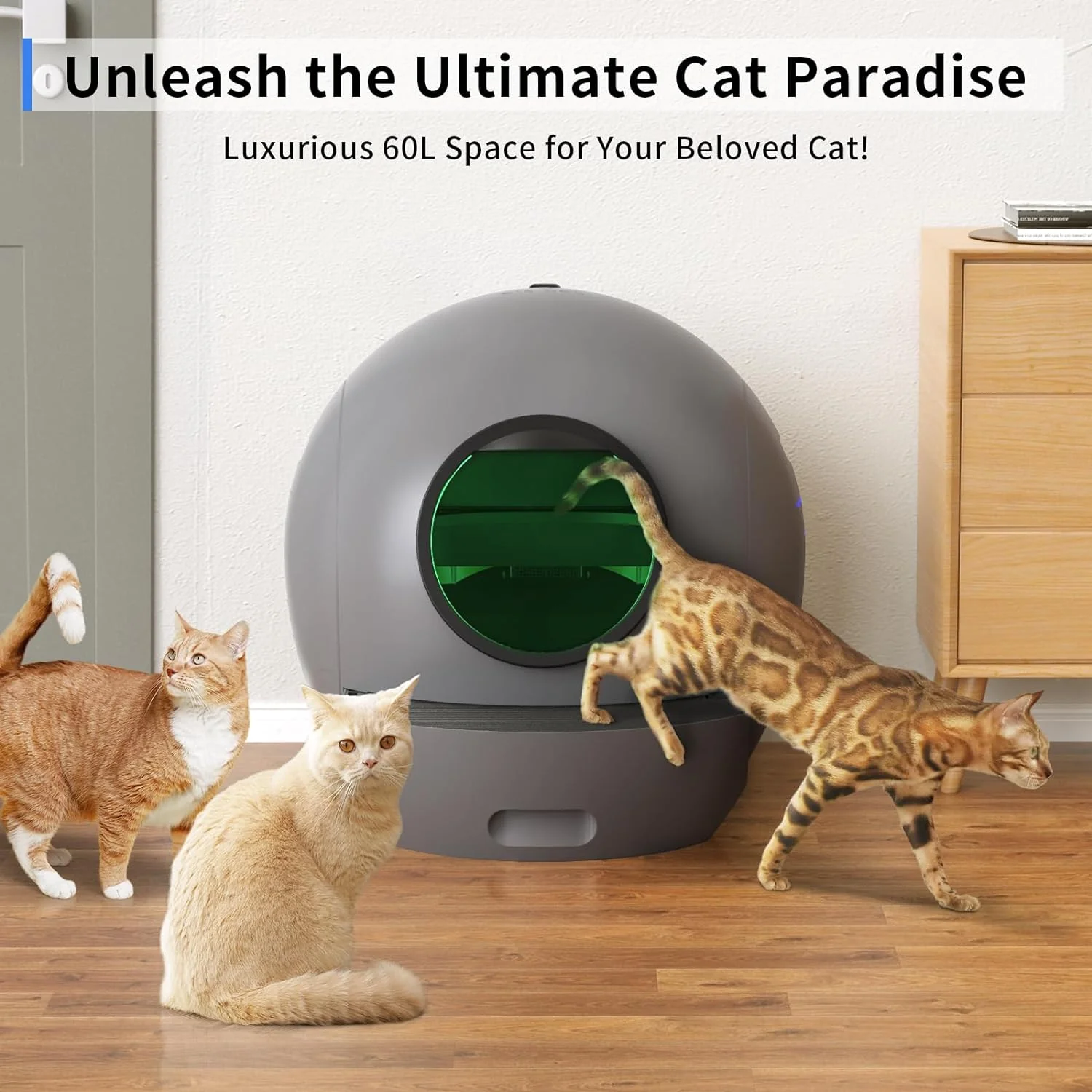 Self Cleaning Cat Litter Box: ELS PET Hands-Off 60L Extra Large Cat Litter Box, Odor Eliminating Smart Litter Box with APP Control, 2.4Ghz WiFi Only, Automatic Cat Litter Box for Multiple Cats - Image 4